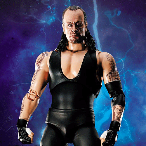 반다이 S.H.Figuarts WORLD WRESTLING ENTERTAINMENT(WWE) Undertaker(혼웹한정)