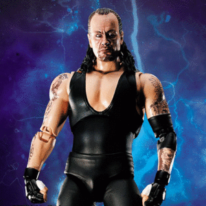반다이 S.H.Figuarts WORLD WRESTLING ENTERTAINMENT(WWE) Undertaker(혼웹한정)