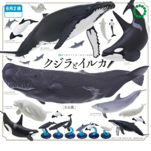 이키몬 NTC400 고래와 돌고래(캡슐)(옵션선택)