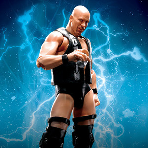 반다이 S.H.Figuarts WORLD WRESTLING ENTERTAINMENT(WWE) Stone Cold Steve Austin