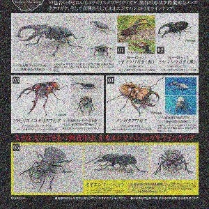 [23.2월발매/3월입고]반다이 생물대도감 사슴벌레 05(캡슐)(옵션선택)