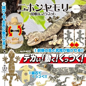 기담클럽 일본 도마뱀붙이 가동 &amp; 마그넷(캡슐)(옵션선택)